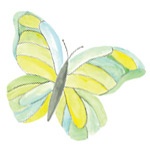 Butterfly Onesie